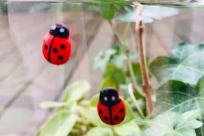 Ogród w słoju - warsztaty dla dzieci